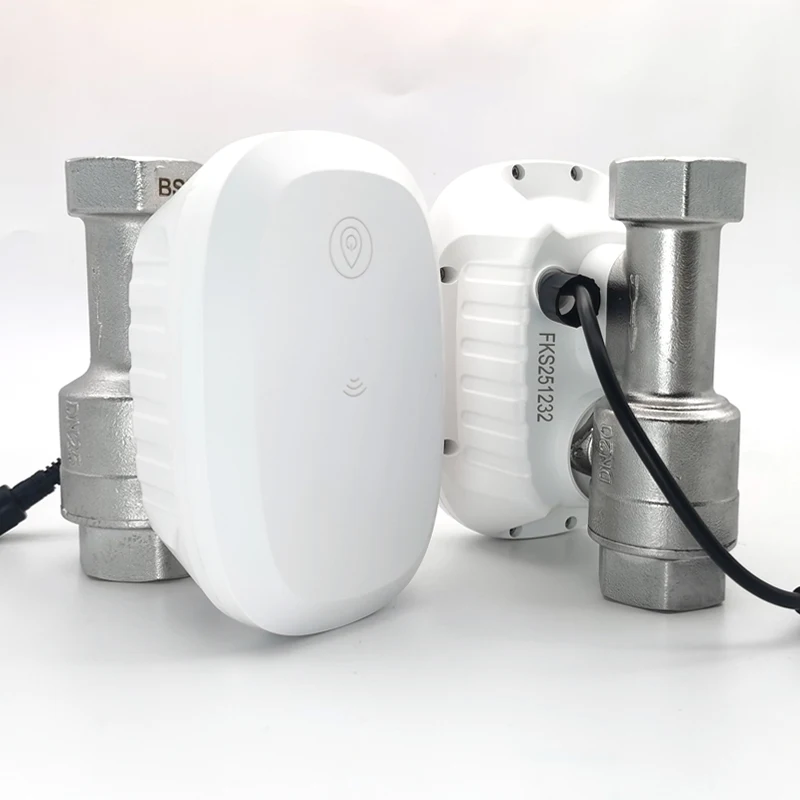Home Assistant Tuya - Водяной клапан с Wi-Fi управлением, умный